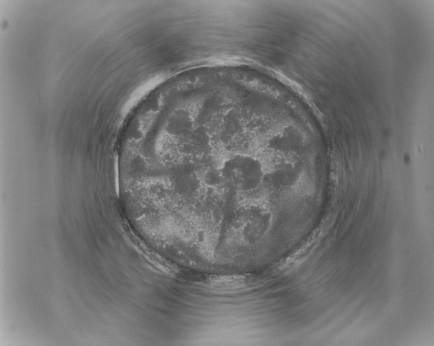 X0000070401171200607072237