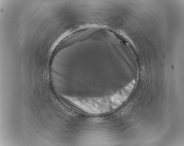 X0000070401173200607072237