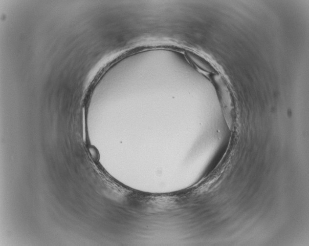 X0000070401175200607072237