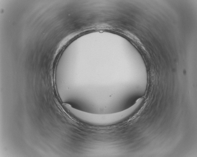 X0000070401176200607072237