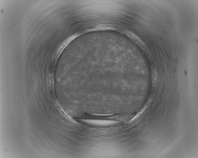 X0000070401177200607072237