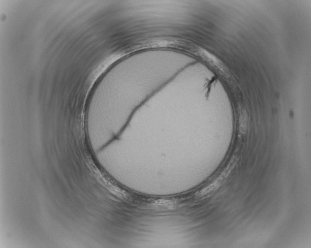 X0000070401178200607072237