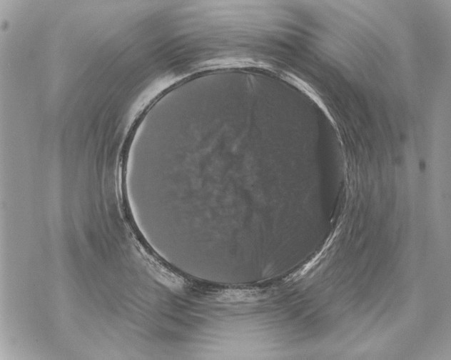 X0000070401179200607072237