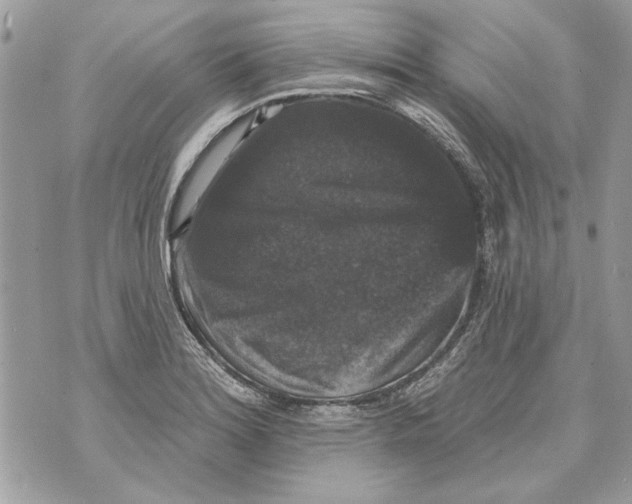 X0000070401180200607072236