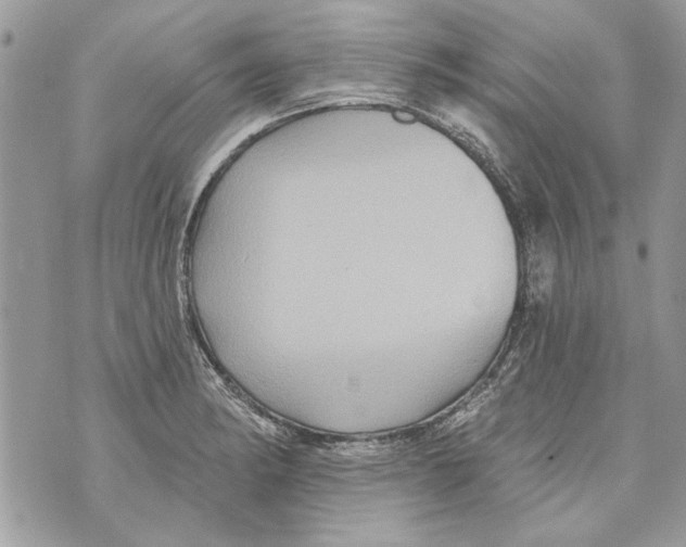 X0000070401182200607072236