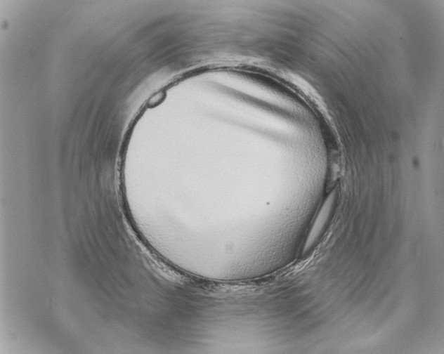 X0000070401183200607072236