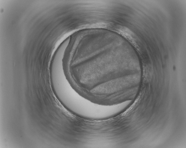 X0000070401184200607072236