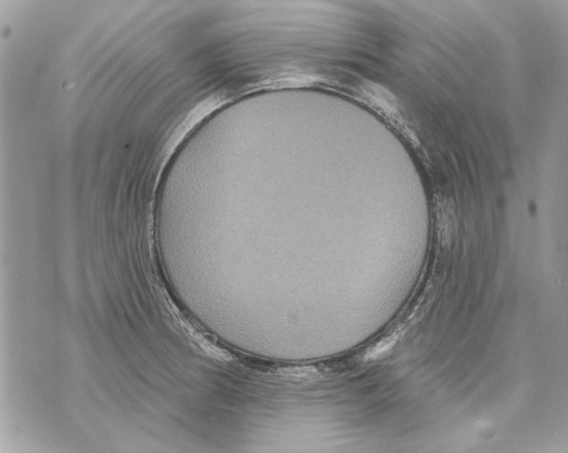 X0000070401186200607072236