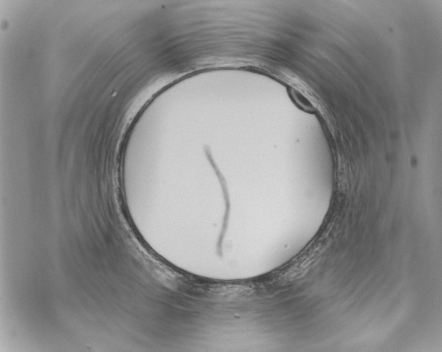 X0000070401187200607072236