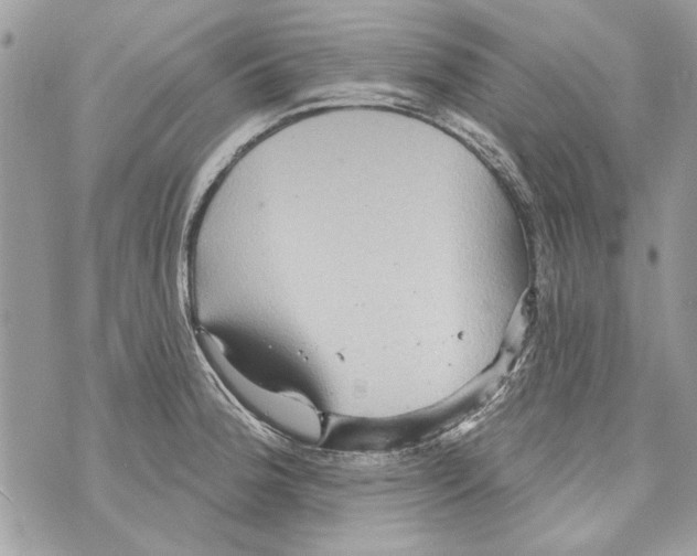 X0000070401188200607072236