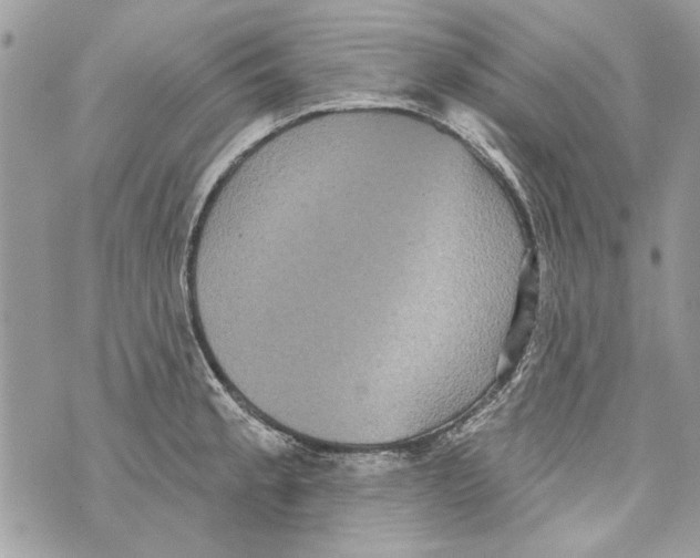 X0000070401189200607072236