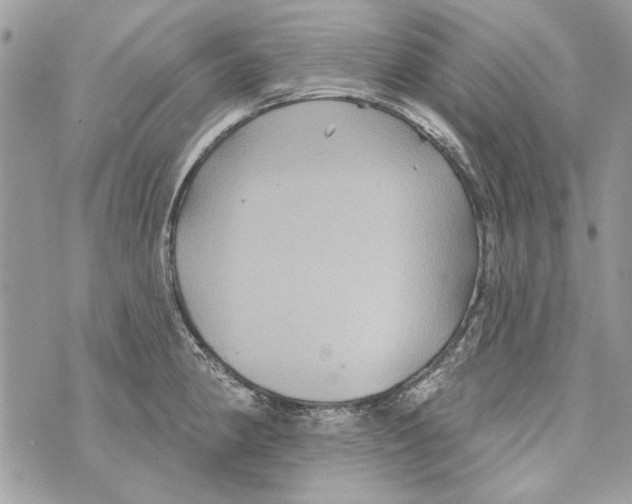 X0000070401190200607072236