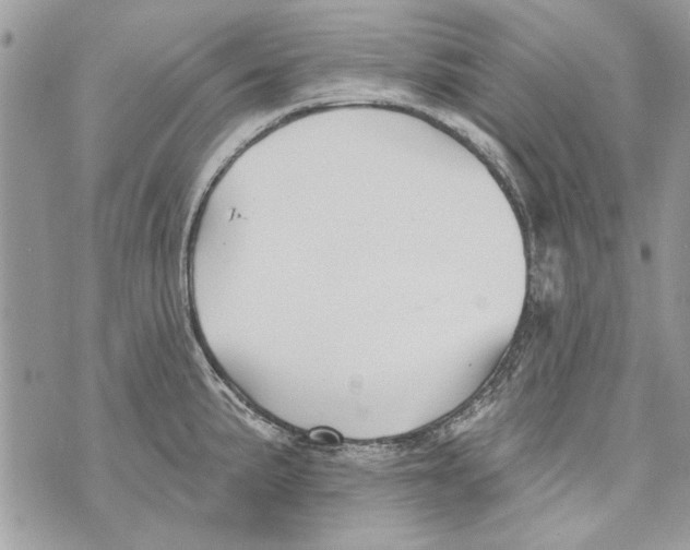 X0000070401191200607072236