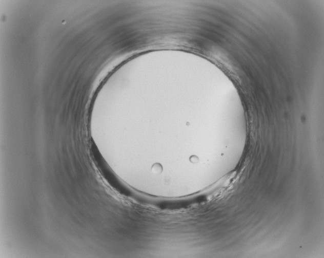 X0000070401192200607072236