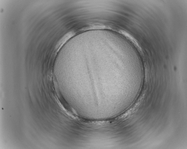 X0000070401193200607072236