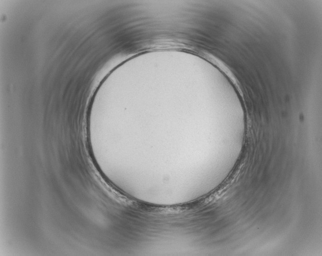 X0000070401195200607072236