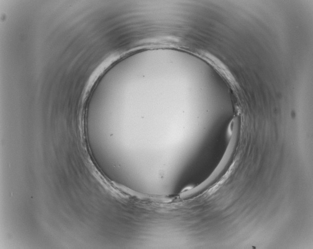 X0000070401196200607072236