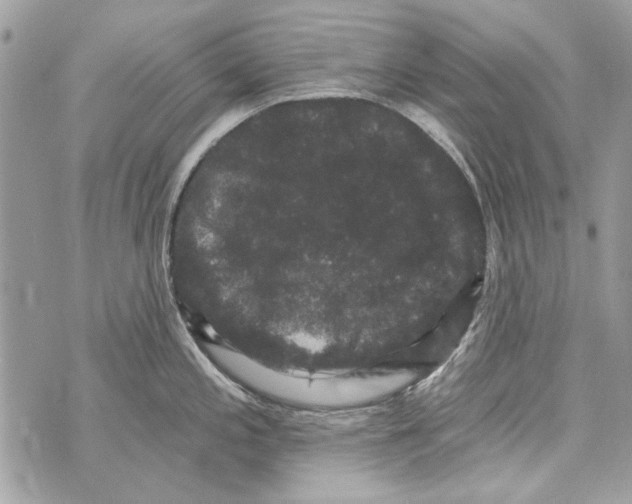 X0000070401197200607072236