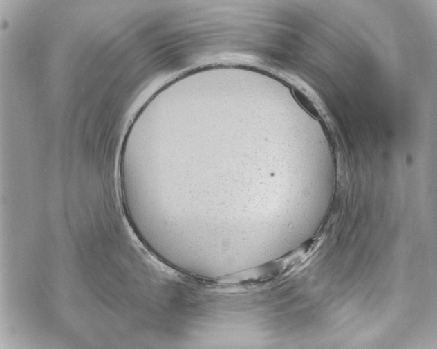 X0000070401199200607072236