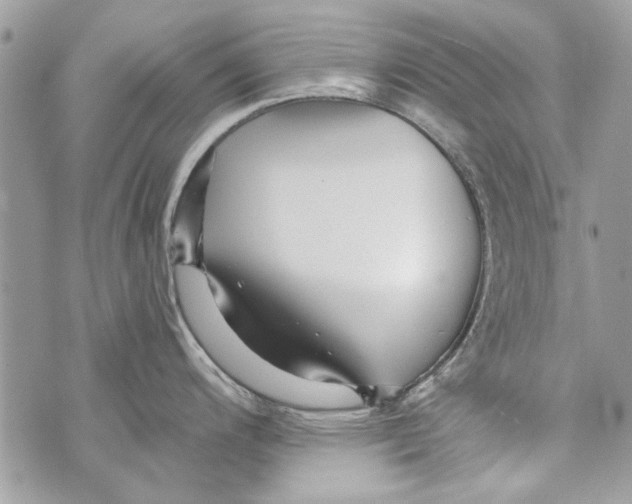 X0000070401200200607072236