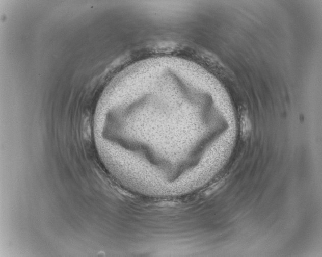 X0000070401204200607072235