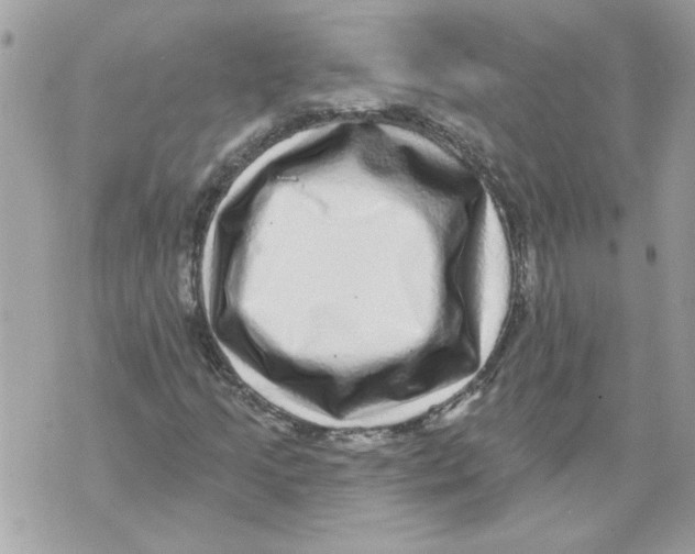 X0000070401205200607072235