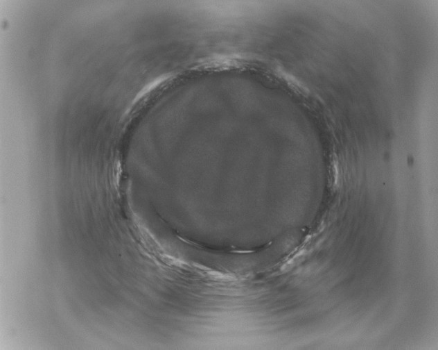 X0000070401206200607072235