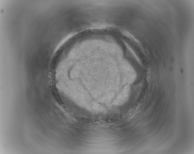 X0000070401208200607072236