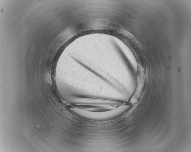 X0000070401209200607072236