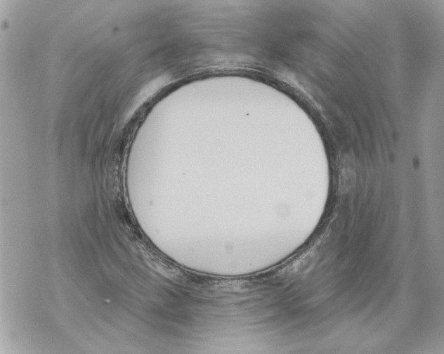 X0000070401211200607072236