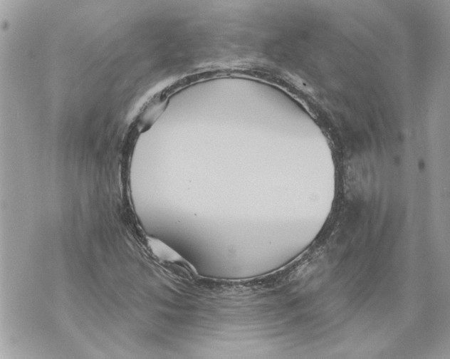 X0000070401214200607072236