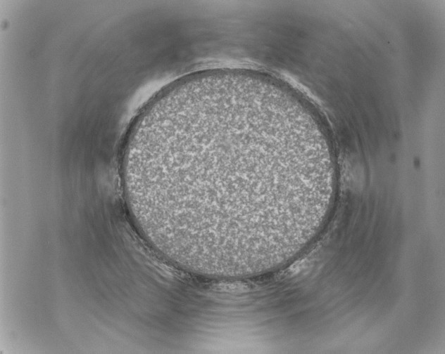 X0000070401215200607072236