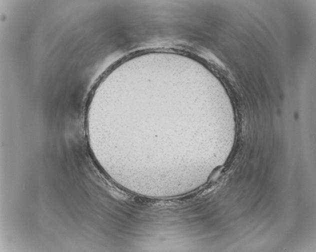 X0000070401216200607072236