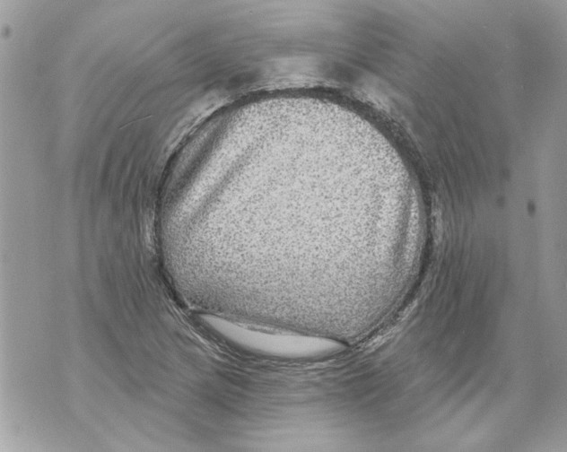 X0000070401217200607072236