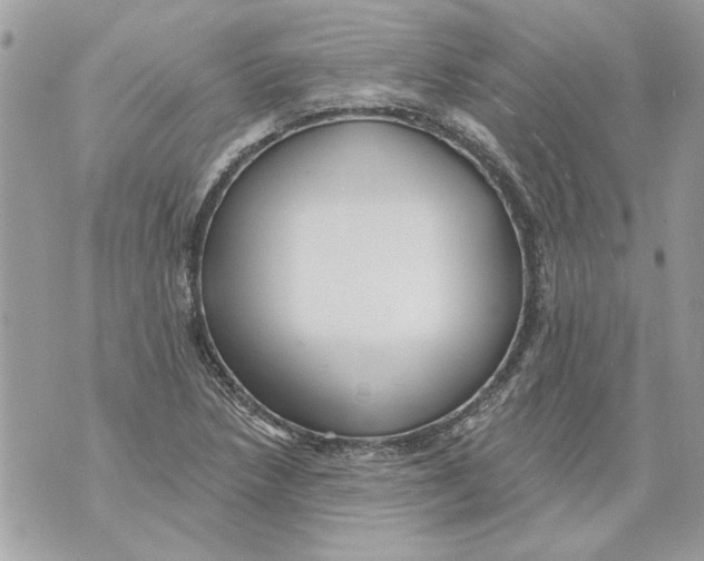 X0000070401218200607072236