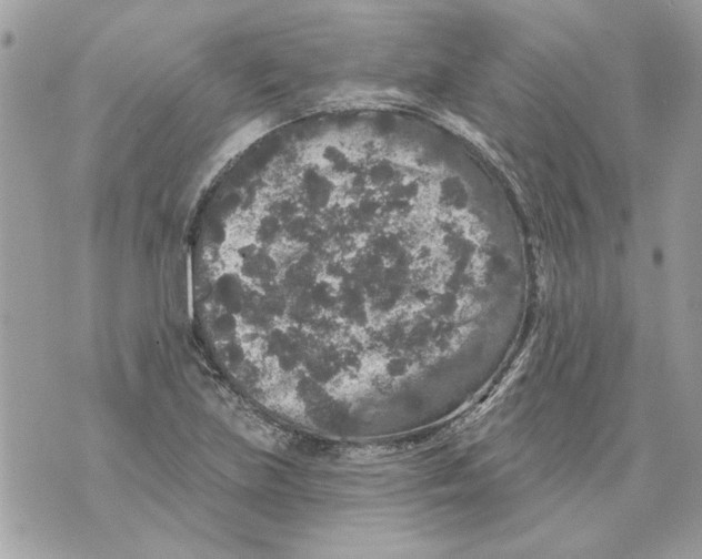 X0000070401219200607072236