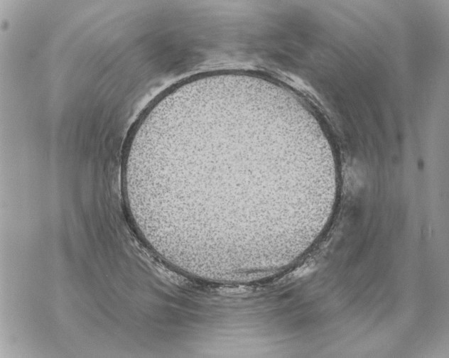 X0000070401220200607072236