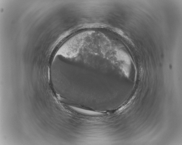 X0000070401221200607072236