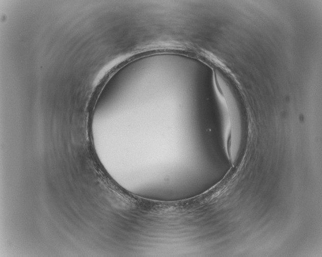 X0000070401222200607072236