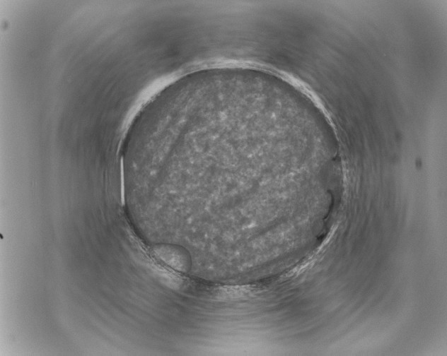 X0000070401223200607072236