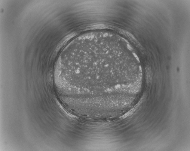 X0000070401225200607072236