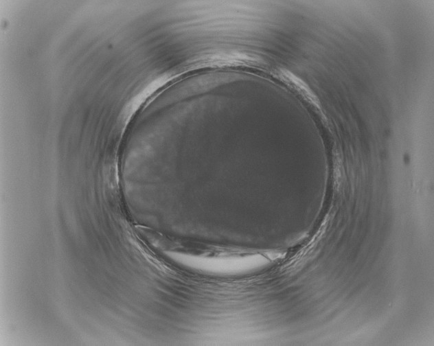 X0000070401226200607072236