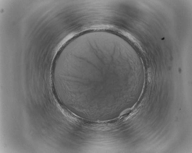 X0000070401229200607072236