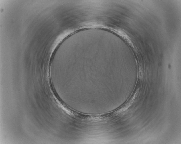 X0000070401231200607072236