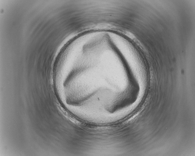 X0000070401232200607072236