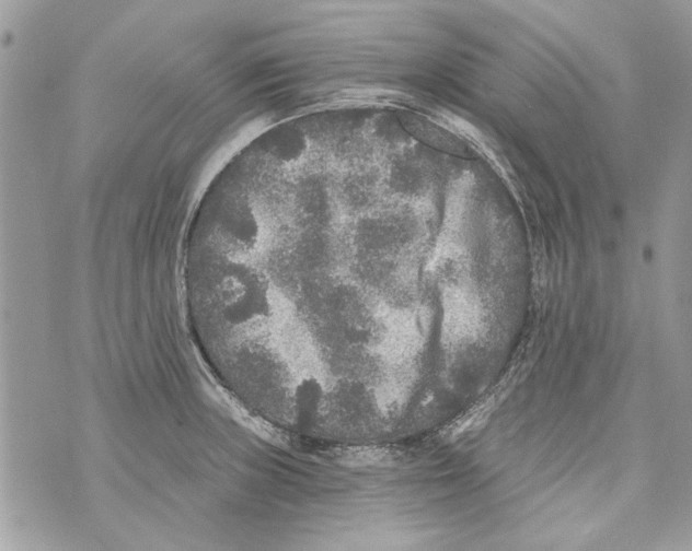 X0000070401235200607072236