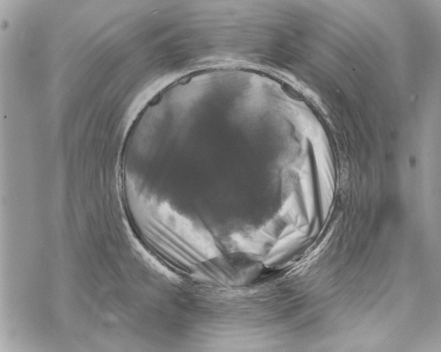 X0000070401239200607072236