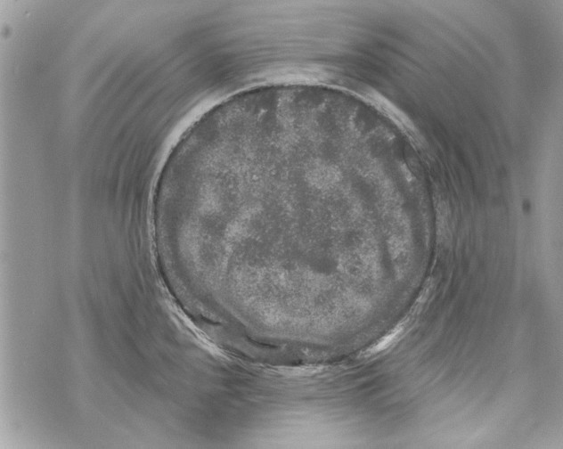 X0000070401240200607072236