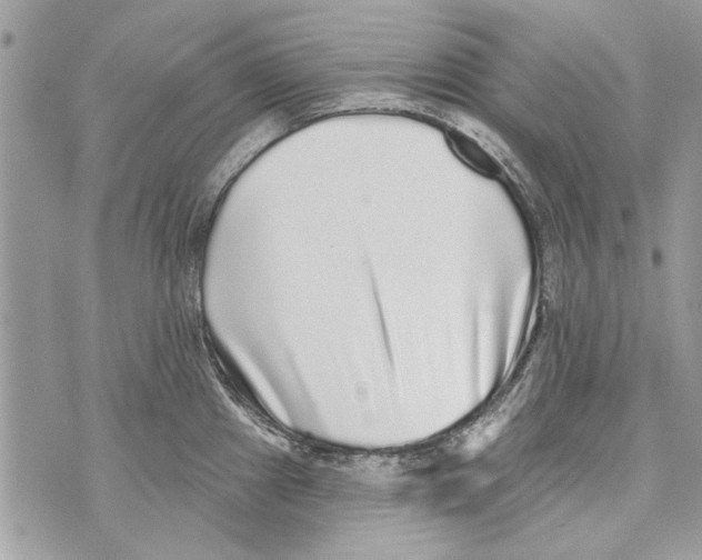 X0000070401241200607072236