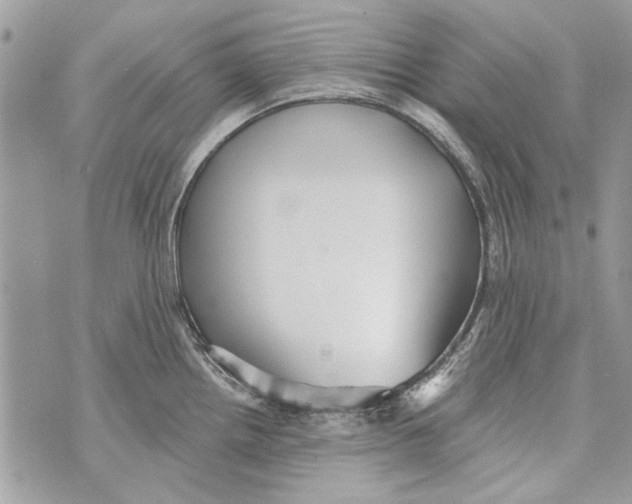 X0000070401242200607072236